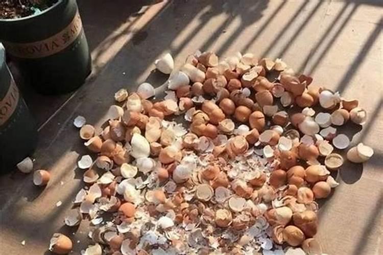 在鸡蛋壳米醋水中能不能找到硼肥？