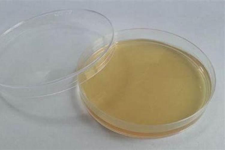 培养基的母液的化学成分主要是什么,用量是多少？