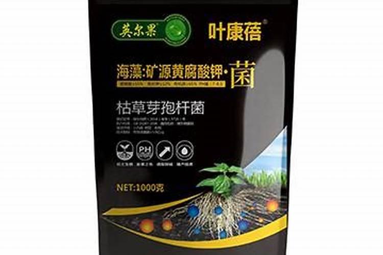 ...田块需要潮湿吗？如何使用更好？需先用生根肥吗？,用什么生根好？百度...
