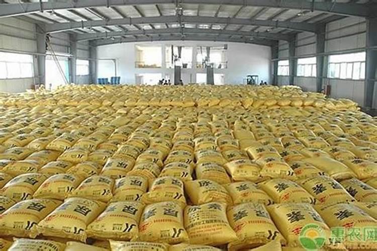 玉米后期需要什么肥料