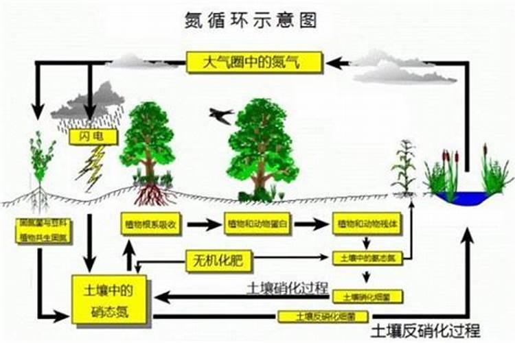 镇雄县属于哪个市