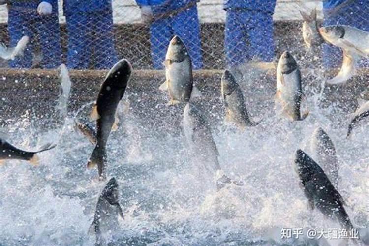 初步区分常用氮肥、磷肥、钾肥的方法是什么