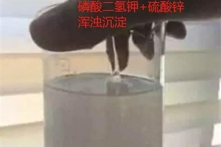 兰花缺肥有什么表现