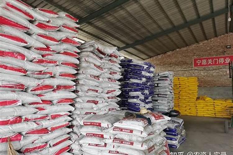 茶花施肥用什么肥料最好 用复合肥施肥长得快