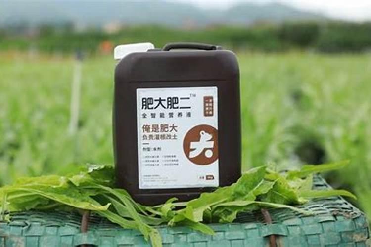 春天马铃薯覆膜栽培 马铃薯播种养殖方法总结