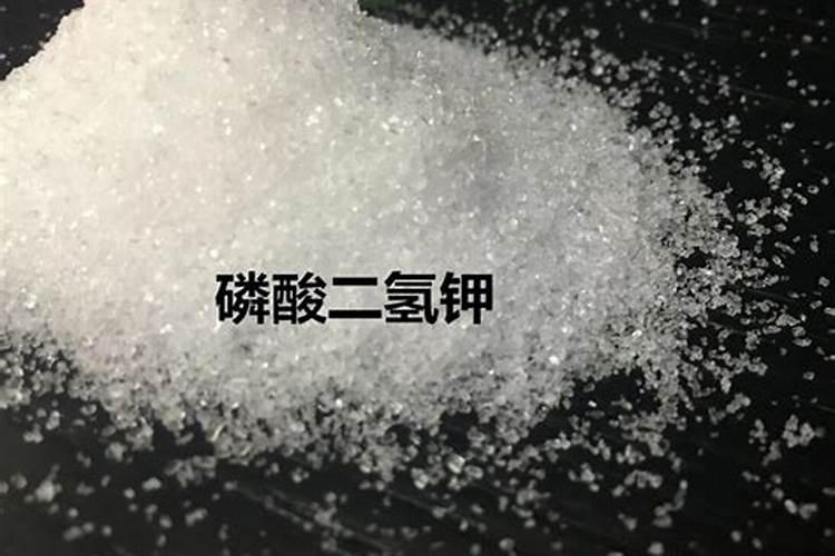 哪个可以告诉我西红柿大棚种植方法有哪些？要注意什么？