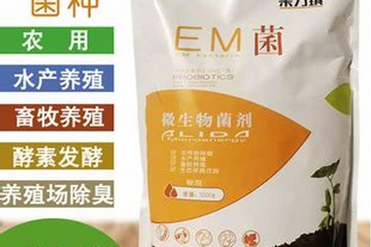 什么肥可以让花开花