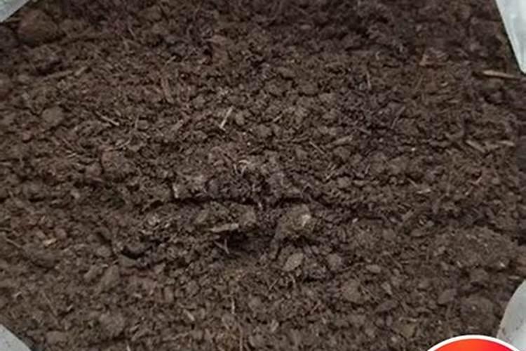 有机肥的腐熟是什么意思