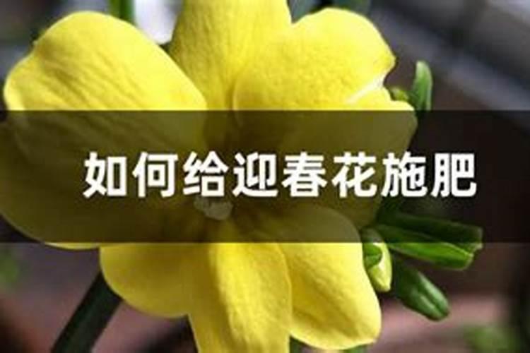 苗后除草剂什么时候打效果最好