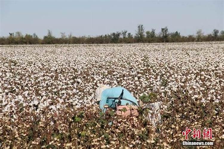 华绿生物是国企吗还是私企