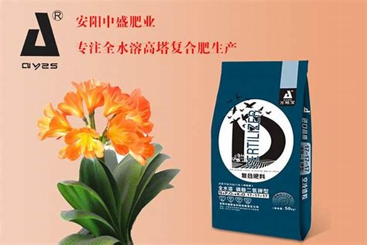 君子兰复合肥怎么用