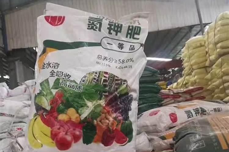 大葱和大蒜如何获得丰产？有哪些丰产小妙招？