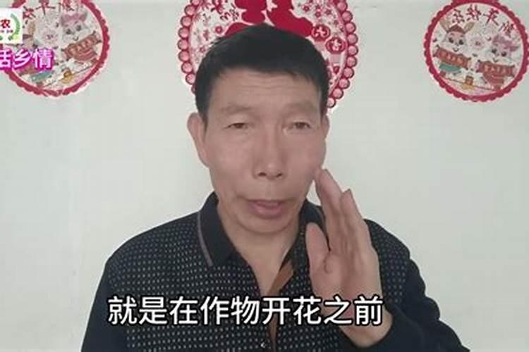 瓜果蔬菜缺硼会带来哪些危害,补施硼肥的作用和方法是什么？
