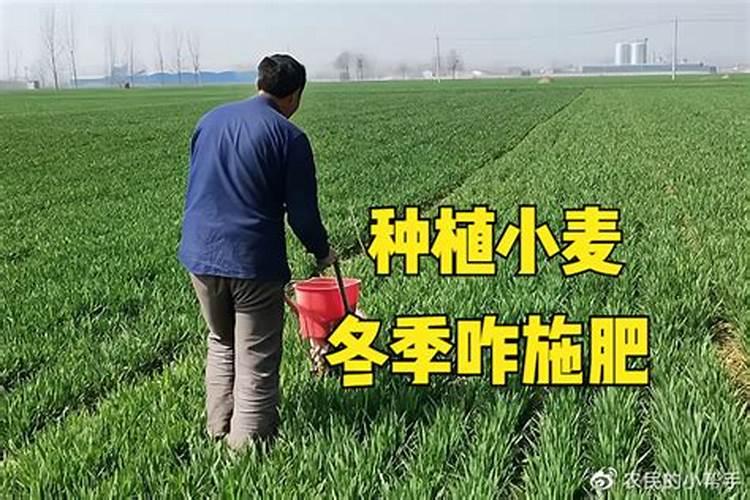 硫肥是什么意思