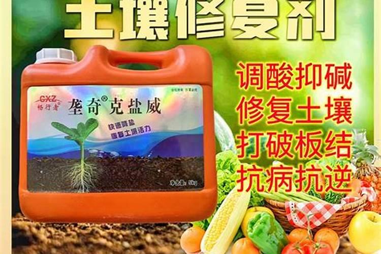 橙子打腊橙皮还可以做调料吗？