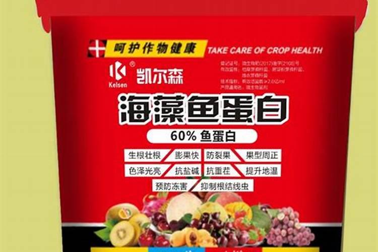 鱼蛋白肥料和鱼豆蛋白的区别