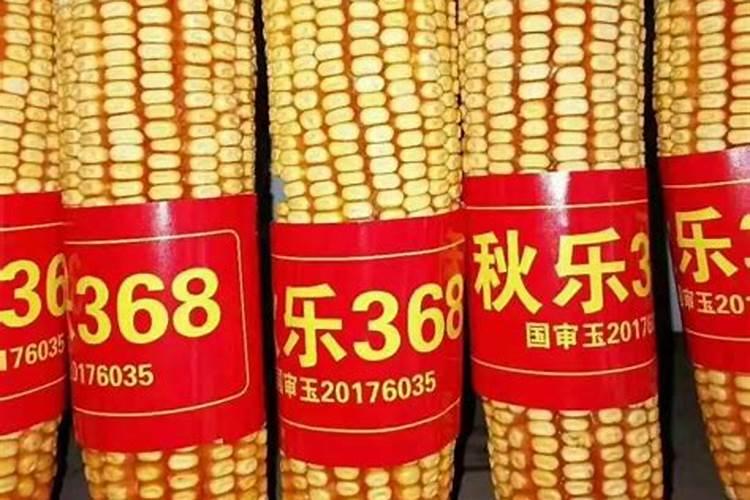 懒汉肥料怎么使用？