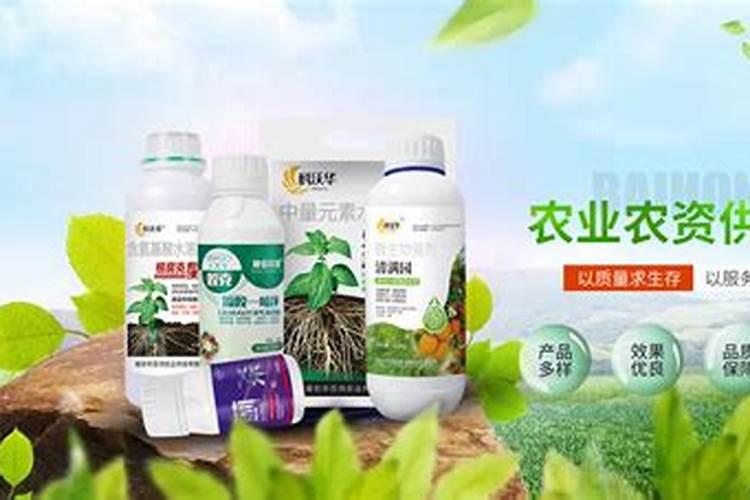 玉米生虫用什么药好