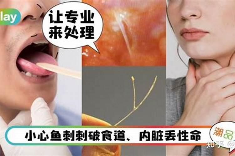 水溶肥品牌排行榜