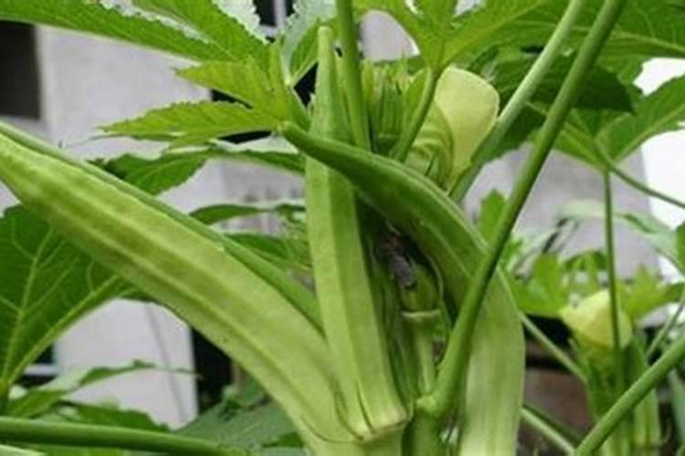 河北益微生物技术有限公司企业概况
