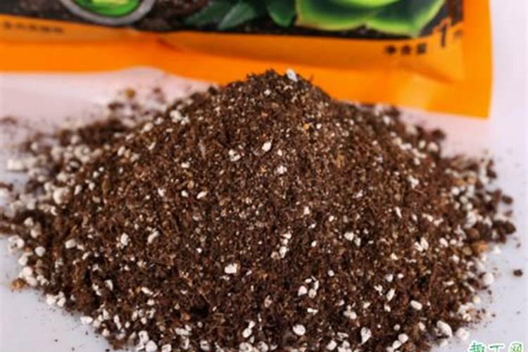 葡萄种植需要施什么肥料