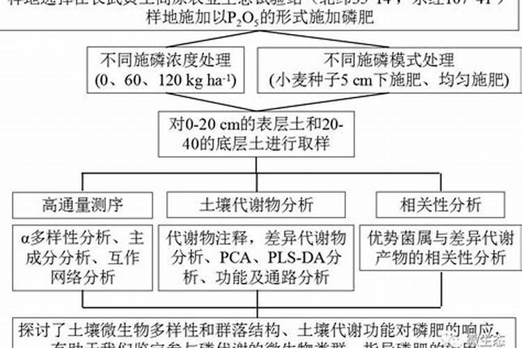 打农达的桶没有洗干净,就用来打稻苗叶面肥,有药害吗？
