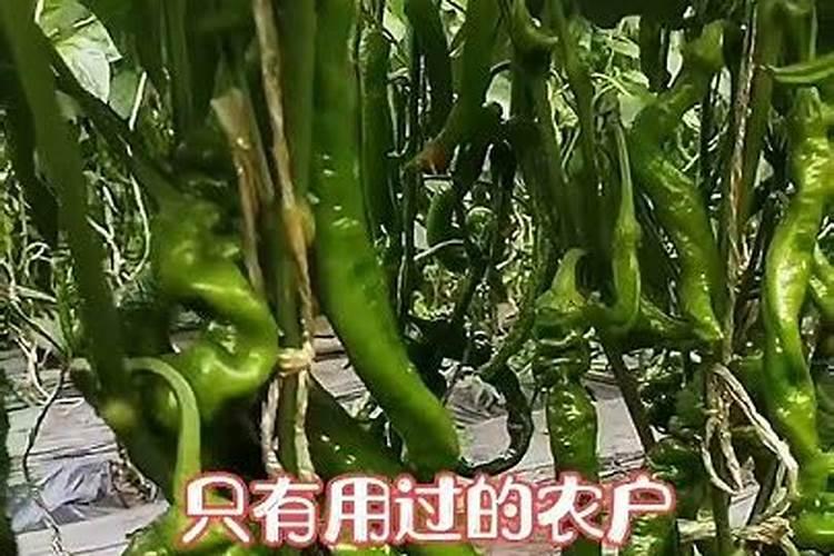 硫酸二氢钾使用方法及用量