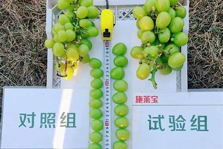 矿源黄腐酸钾最佳使用方法