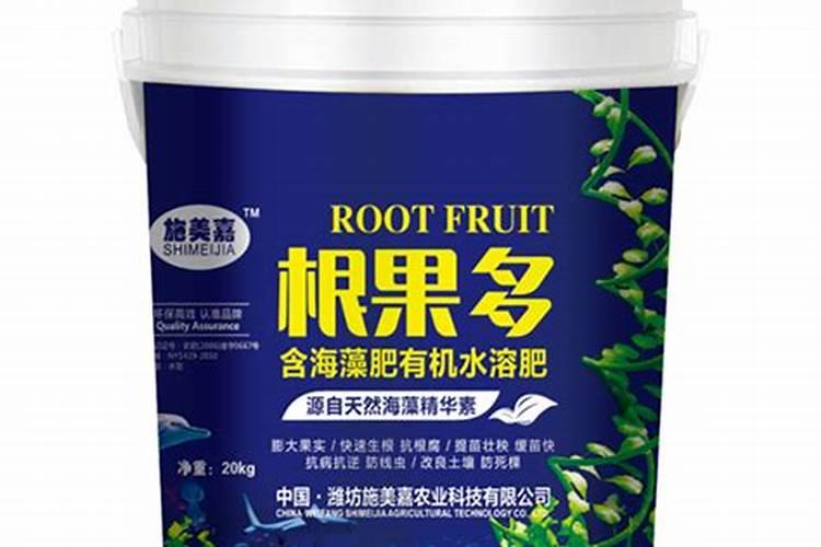 如何养好一棵月季小苗按照这6点做