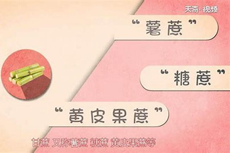 有什么办法种出来的甘蔗不开裂