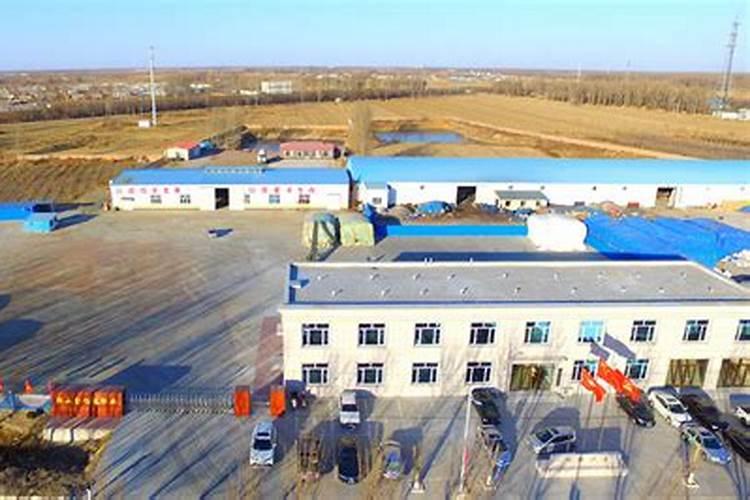 辽宁华夏大地生态技术股份有限公司怎么样？