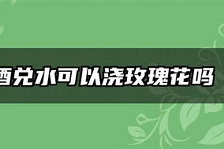 玫瑰怎么施肥