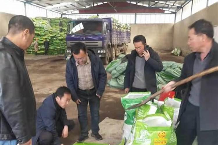 杂草沤肥的方法