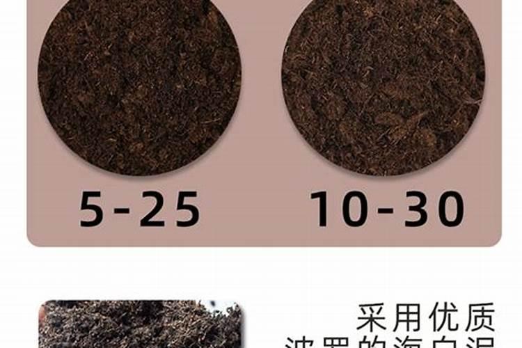 什么是泥炭肥,以及其作用