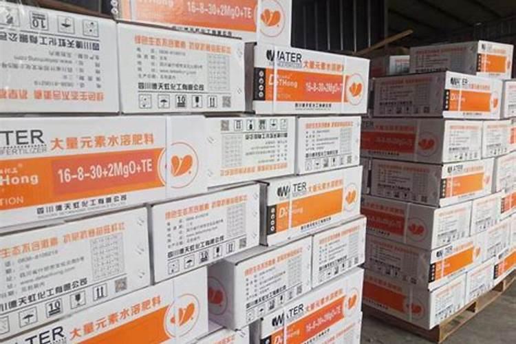 荔枝和龙眼的区别 荔枝和龙眼的不同点