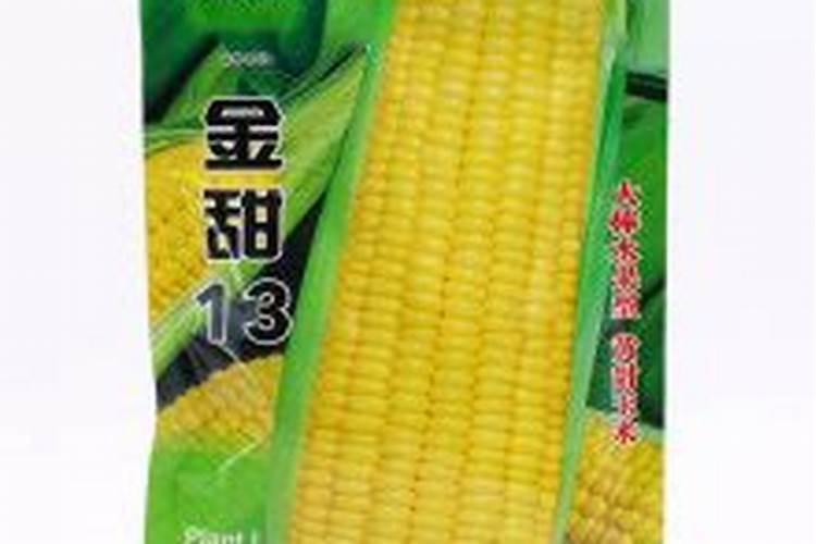 玉米控释肥十大品牌