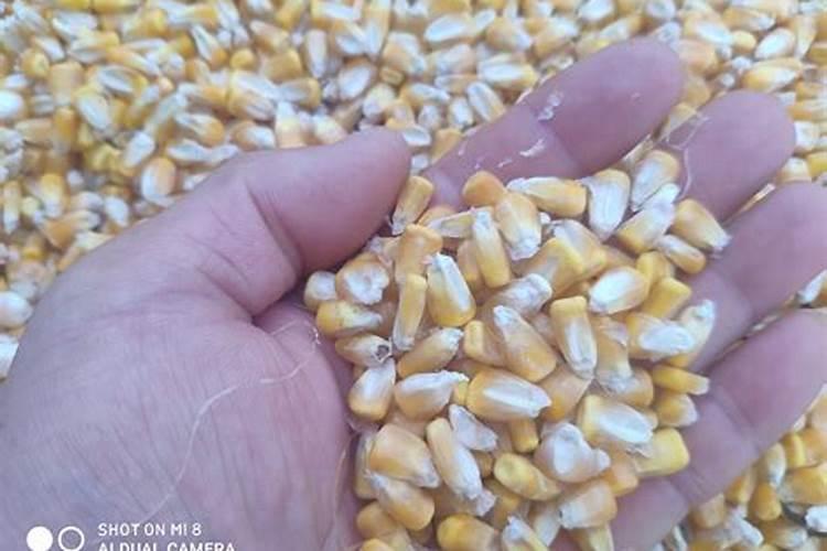 红四方玉米专用复合肥多少钱一吨？