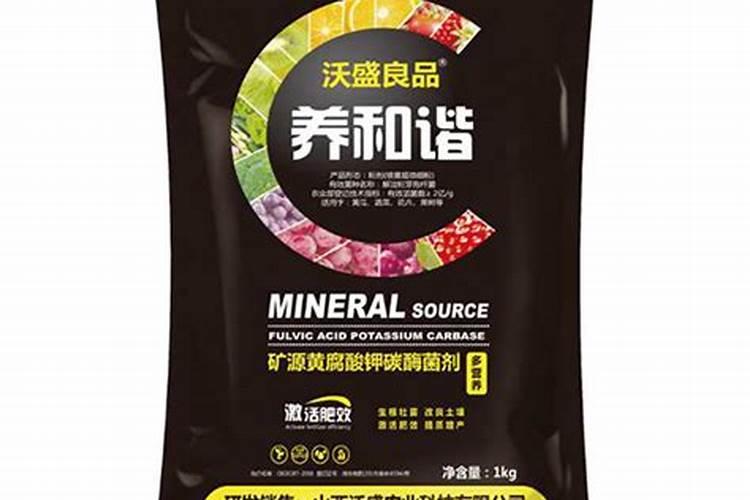 冬枣高效种植管理要点 冬枣怎么施肥比较好