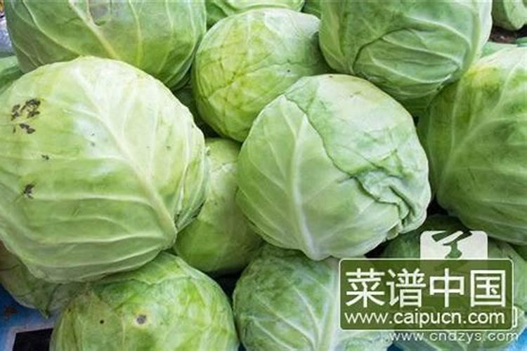 请问专家白芨的生长期和块茎的膨大期是什么季节。谢谢