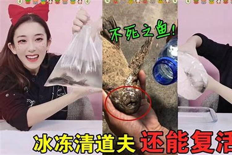 鱼蛋白水溶肥制作方法