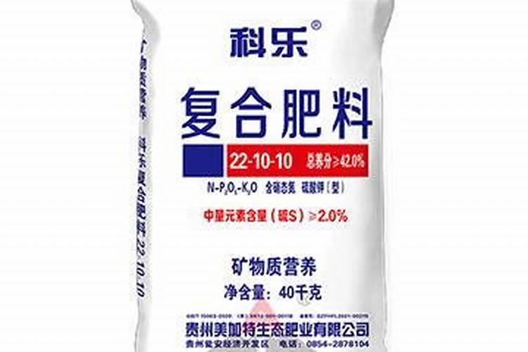 如何给番茄喷叶面肥？钾肥？