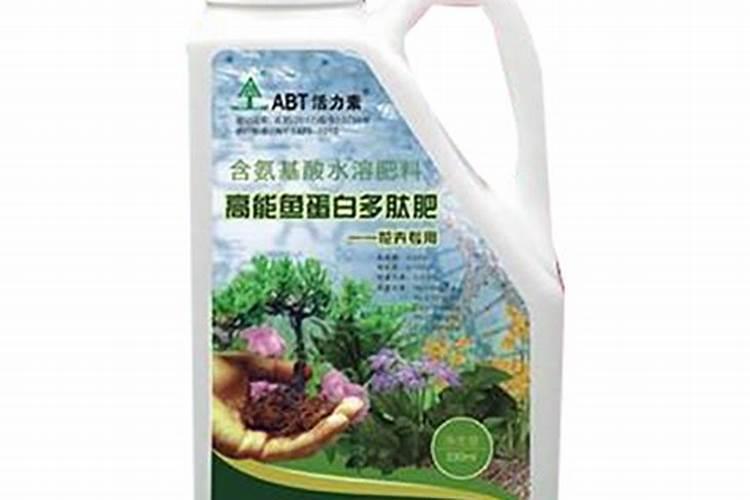盆栽西红柿施什么肥最好