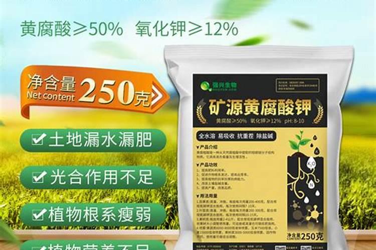 硝酸钾哪家好？