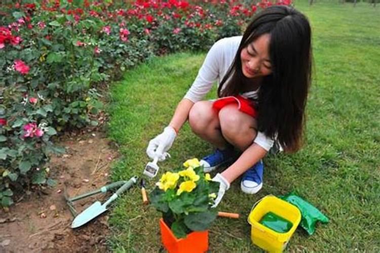 夏天中午,为什么不宜给花浇水？