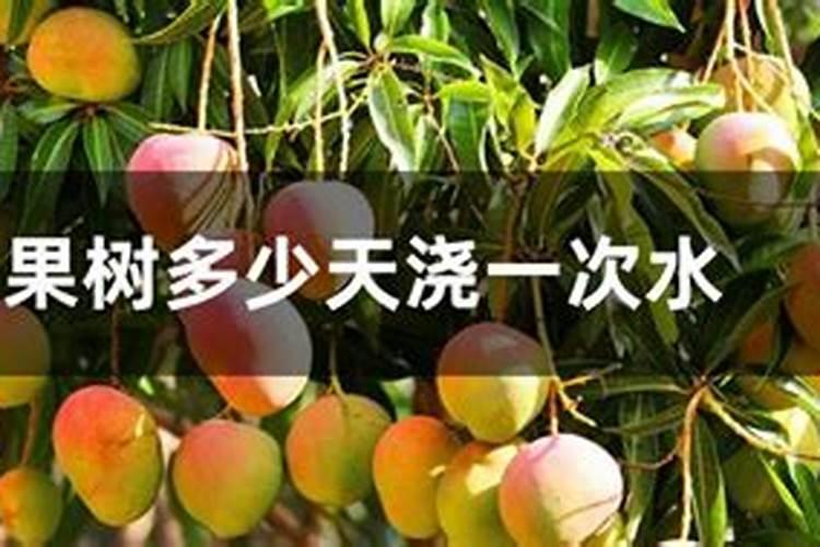 石榴坐果后如何施肥才能长得又大又甜？