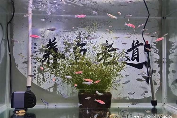 日夜多维赋活冻干套盒使用方法