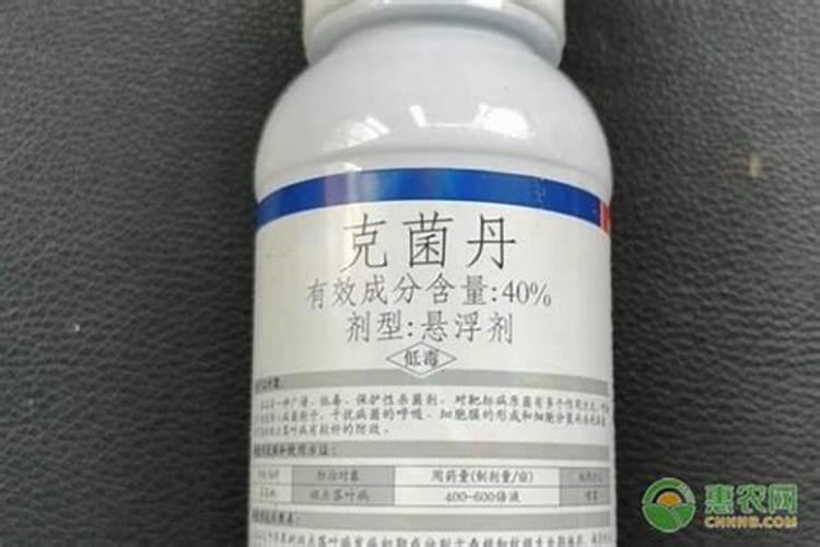 治辣椒病用什么药最好？
