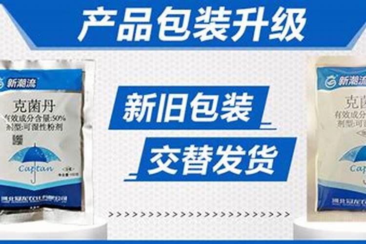 草莓的种植于管理