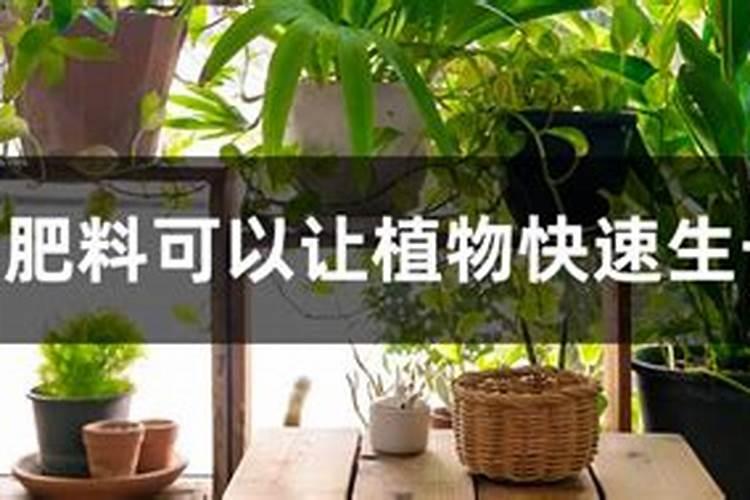 养花氮肥有哪些