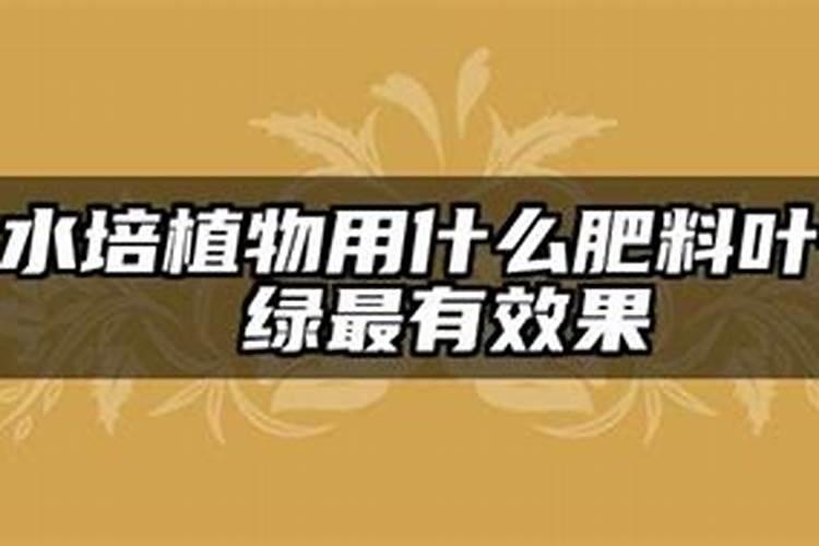 世界上最高的树高156米直径10米